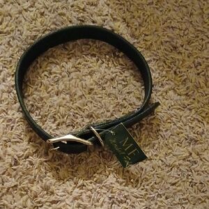 Elegant Green Dog Collar by MF